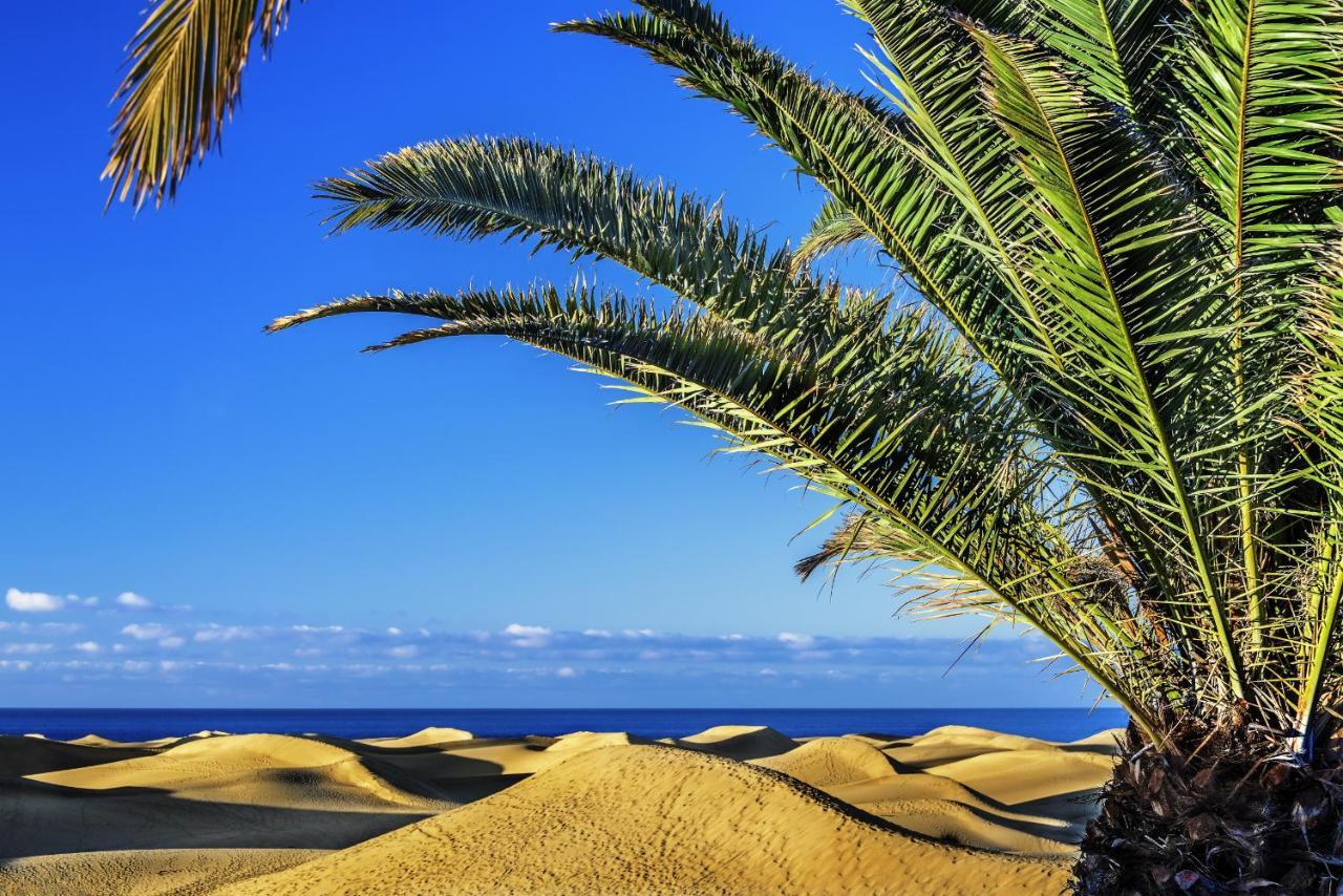 Las Adelfas South Beach 5 By Canariasgetaway San Bartolomé Exteriör bild